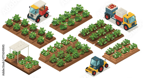 Isometric farming modern tractors and lush garden beds in vibrant agricultural landscape