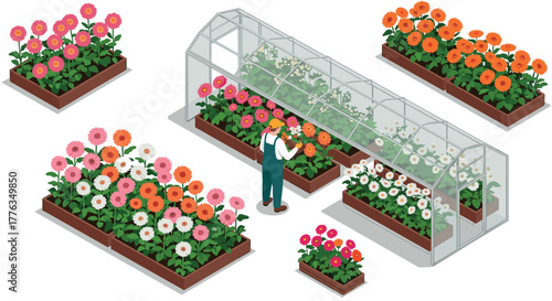 Gardener tending vibrant flower beds and greenhouse in isometric style