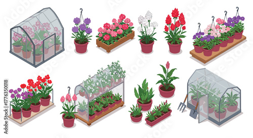 Isometric greenhouse garden with colorful potted flowers and plants