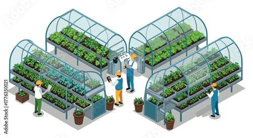 Smart farming in modern greenhouses with advanced technology and automation