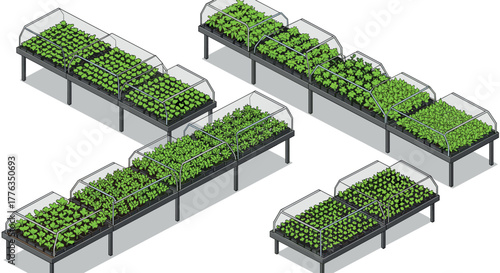 Isometric greenhouse with lush vegetables on shelves in protected environment