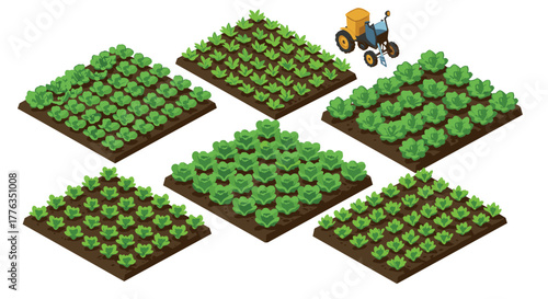 Isometric farm plots with lush green crops and tractor in rows