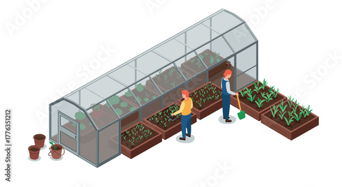 Isometric greenhouse gardening with people tending to vegetable beds and green plants