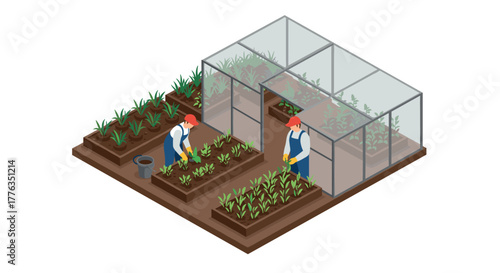 Isometric greenhouse farming with gardeners tending vegetables and plants