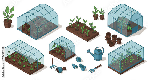 Isometric greenhouse elements with seedlings and gardening tools on white background