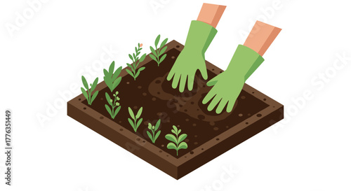 Gardener's hands planting seedlings in soil box with green gloves