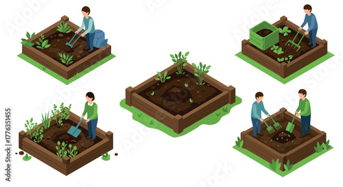 Isometric gardening scenes raised beds and planting activities for home gardens