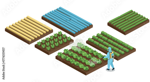 Isometric farm fields with worker spraying crops