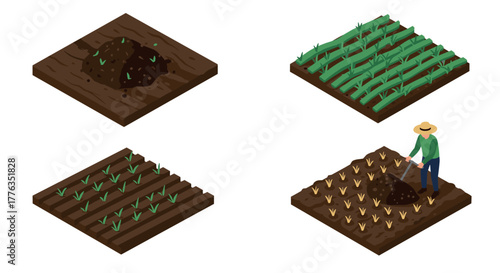 Isometric farming stages seedling to harvest in four panels