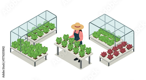 Gardener working in isometric greenhouse with lush vegetables and hydroponic systems