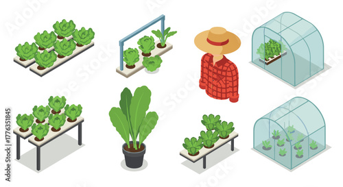 Isometric urban gardening greenhouses and fresh produce with farmer