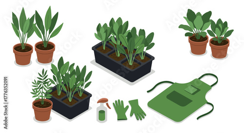 Houseplant cultivation set with gardening tools in isometric style