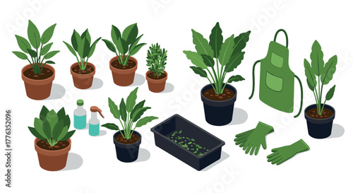 Isometric indoor gardening essentials with plants, tools, and accessories