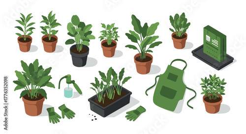 Indoor gardening tools and potted plants set with apron and gloves