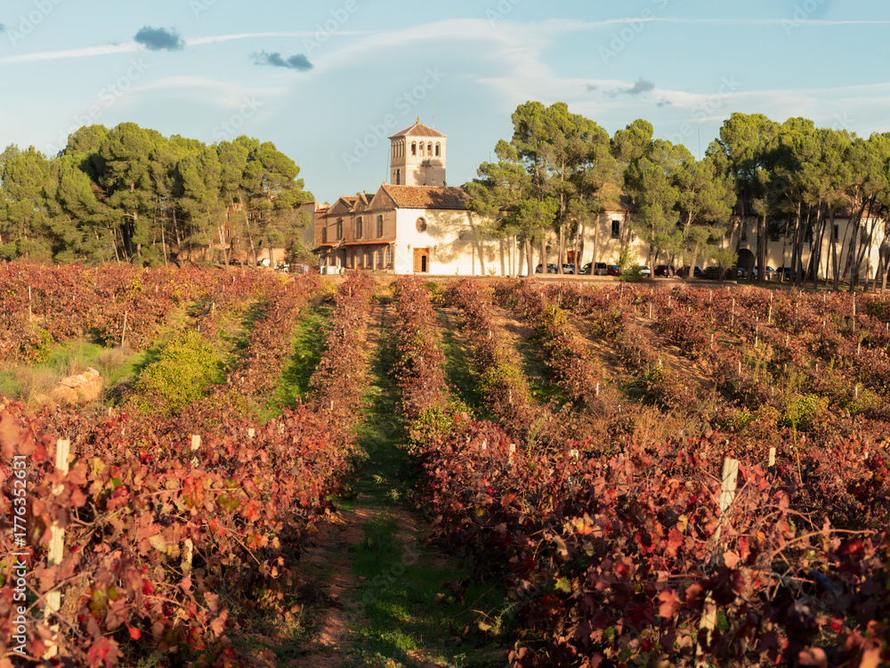 Naklejka premium hileras de viñedos con colores de otoño al atardecer con una bodega al fondo en Requena, Valencia, Spain