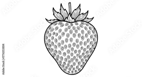 Vector illustration of a single strawberry with seeds and leaves, detailed line art, isolated on white background