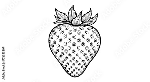 Vector illustration of a single strawberry with seeds and leaves, detailed line art, isolated on white background