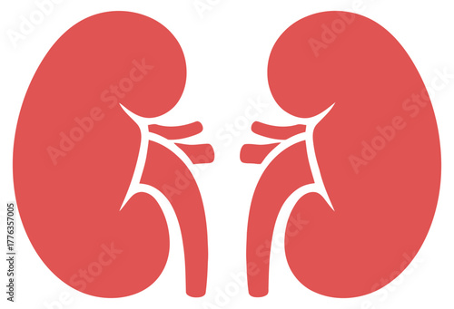 Human Kidneys Icon Vector Pair of Renal Organs Illustration in Flat Minimalist Design for Medical Health and Urology Graphics, Coral Color