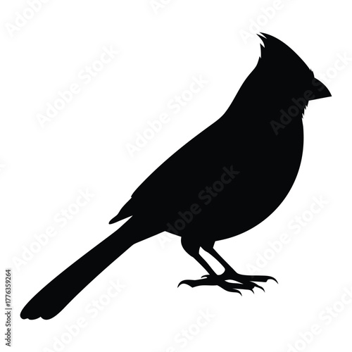 Northern cardinal bird wildlife vector silhouette illustration on a branch