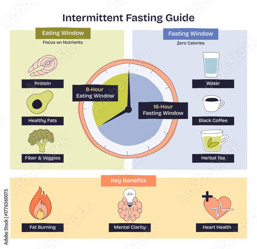 Intermittent fasting guide shows a 16-8 schedule with a central clock, eating and fasting windows, plus key foods and drinks and benefits. Doodle style diagram