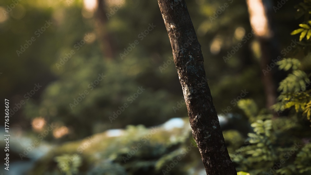 Fototapeta premium In a tranquil forest, warm sunlight dances upon the surface of a sturdy tree trunk, casting gentle shadows on the lush greenery below. Nature thrives in peaceful harmony here.