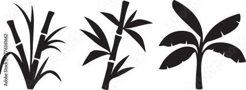 tropical plants sugarcane bamboo and banana leaves clean silhouette vector illustrations