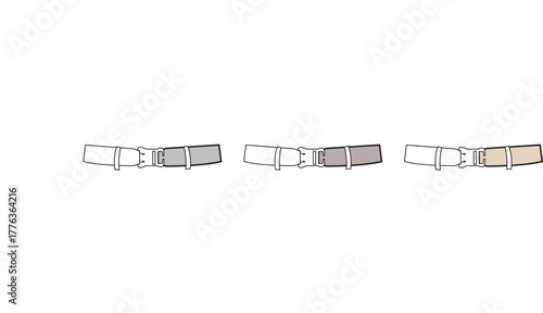 Diverse Belts Set Adjustable Waist Accessories for Fashion Outfits in Varied Colors