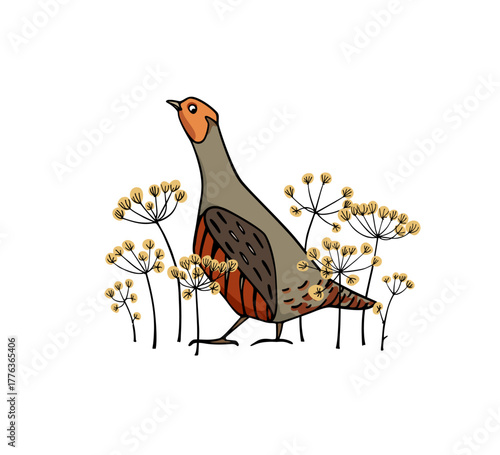 Vector card with hand drawn Grey Partridge among blooming wildflowers. Ink drawing, decorative graphic style. Beautiful wildlife or Easter celebration design elements