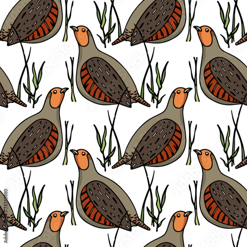 Vector seamless pattern with hand drawn cute Grey Partridges on the heath. Beautiful illustration, ink drawing. Perfect for prints and patterns
