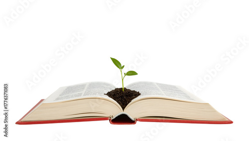 Open book with green seedling growing from pages symbolizing knowledge growth, education, learning, and environmental inspiration
