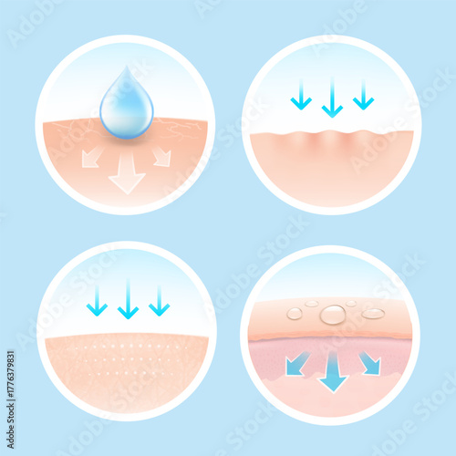 Multiple layers skin with drops and arrows for skin health-related project. Vector illustration isolated on white background. Great for infographics, showing the action of your product. 