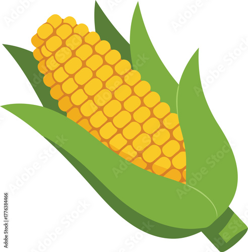 Fresh corn cob maize harvest food illustration vector