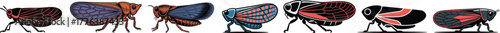 Colorful Leafhopper and Froghopper Vector Art Bundle: Detailed Auchenorrhyncha Insect Illustrations Clipart