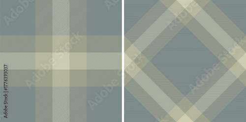 Pattern textile tartan of texture fabric background with a vector check seamless plaid. Set in cold colors. Flattering slim skirts for office.