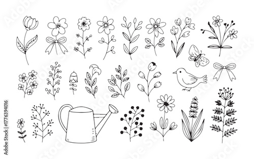  Collection of hand drawn botanical illustrations featuring flowers plants and a watering can