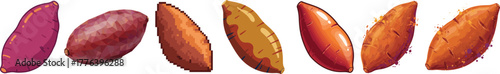Colorful Sweet Potato Tuber Vegetable Food Vector Illustration Set