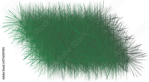 green grass on white background