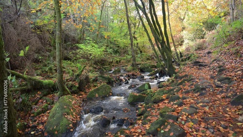 Cascading water running through a rocky ravine during autumn at Wyming Brook Nature Reserve in the Derbyshire, Peak District National Park.