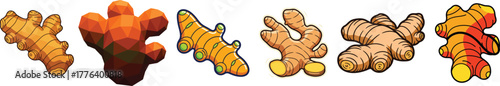 Set of Ginger Root Spice Food Vector Cartoon Illustration Collection