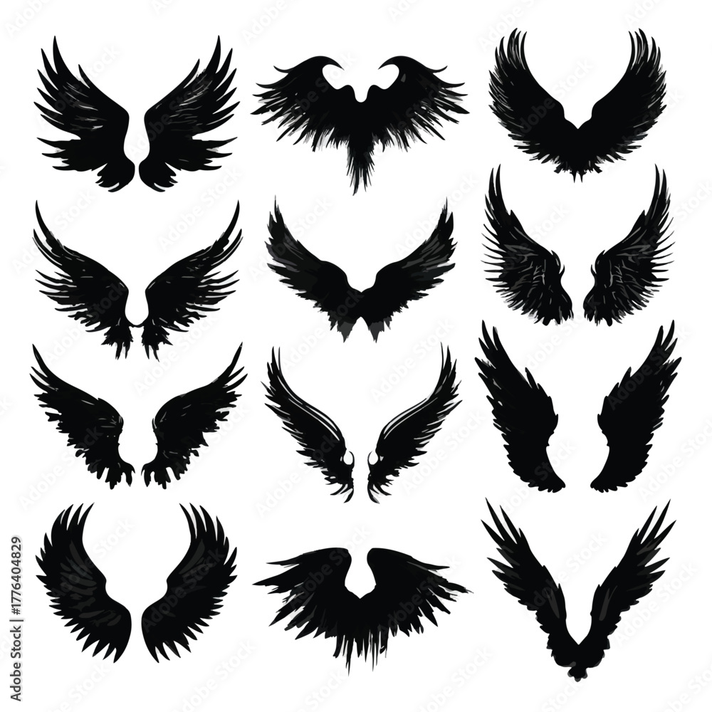 Obraz premium angel wing silhouette