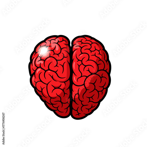 Vibrant red human brain illustration, detailed anatomy, central nervous system, intelligence symbol, top view