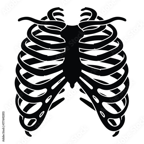 Anatomically correct human rib cage silhouette vector illustration, ideal for medical education, healthcare graphics, biology studies, and abstract skeletal concepts.