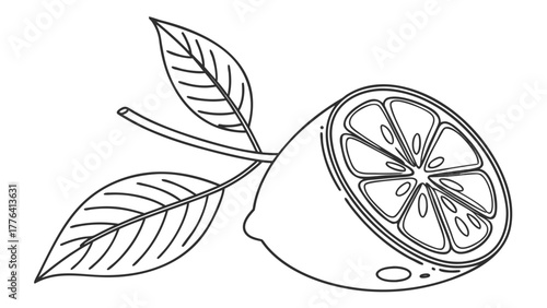 Hand-drawn lemon slice with leaves for a fresh, healthy summer vibe, perfect for food blogs, beverage packaging, or health and wellness designs