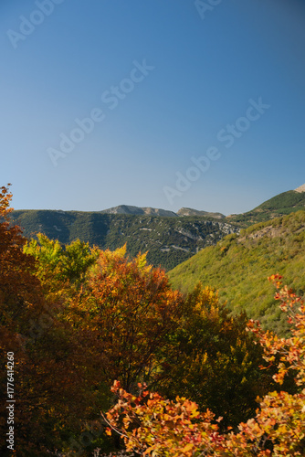 Grasse, Alpes-Maritimes, France. Couleurs d’automne éclatantes dans la forêt, lumière dorée et nature paisible au cœur des montagnes provençales.