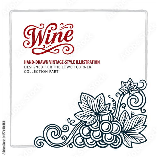 Hand-drawn grape cluster with detailed leaves and curling vines, designed for the lower corner. Elegant engraving-style vintage illustration. Perfect for wine labels and menus. Part of set.