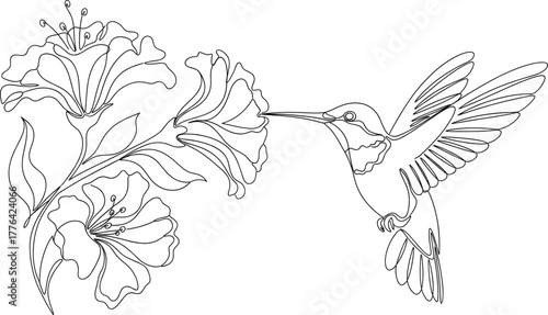 Hummingbird and flower cluster vector—mid-flight nectar pose with elegant petals and leaves for nature, pollination, and wildlife themes
