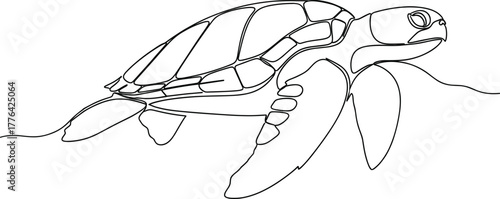 Sea turtle line art vector—fluid swimming pose, segmented shell, minimalist ocean motion for nature, marine, and wildlife themes