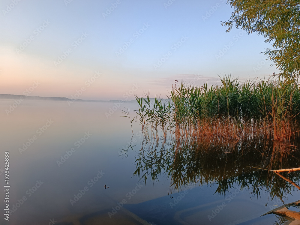 Fototapeta premium morning on the lake