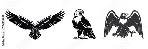 Eagle bird mascot flying and standing vector illustration set