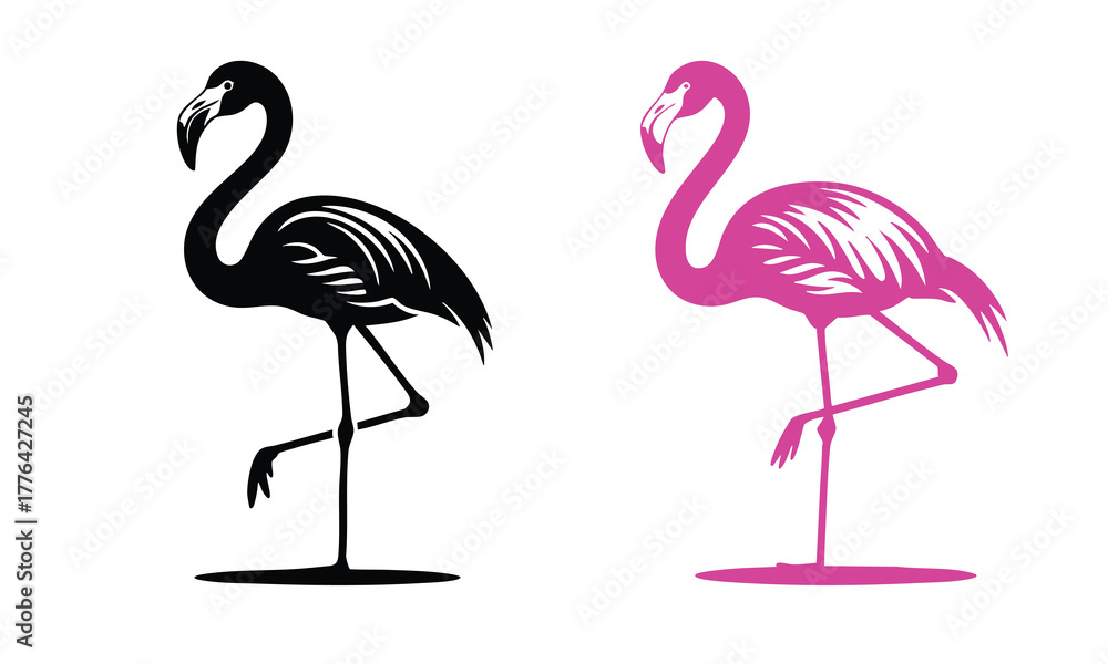 Fototapeta premium Black and Pink Flamingo Standing Silhouettes, Stylized Flamingo Graphic in Two Colors, Flamingo Standing on One Leg Illustration, vector, illustration, silhouette.